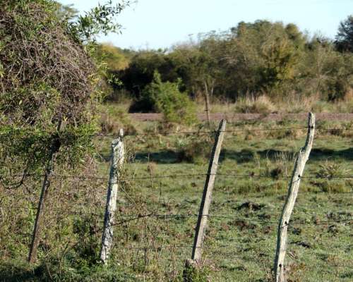 Vendo Campo a Minutos de la Capital de Corrientes