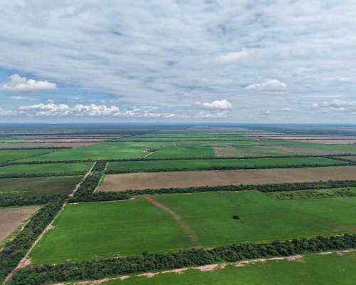 Pcia. de Salta - Campichuelo 1200 Ha