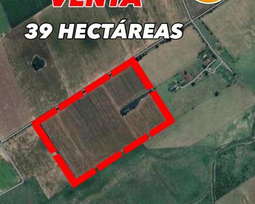 39 Hectáreas Agrícolas en Arroyo Seco a 2,5 km de Autopista