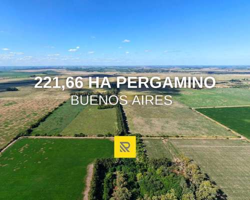 221,66 Ha Pergamino Mixto
