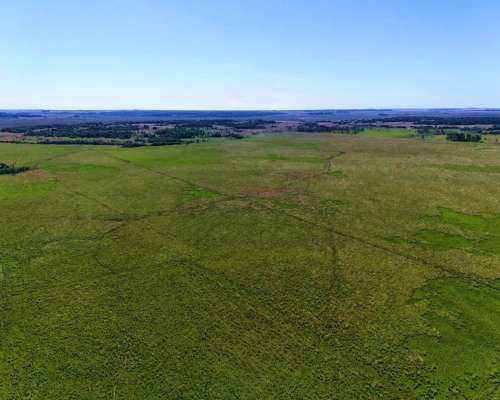 Santo Tomé - 2365 Ha - Corrientes