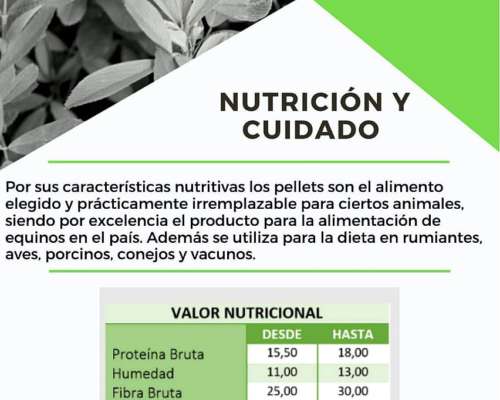 Pellet de Alfalfa de Alta Calidad - u$s 170 - Agroads