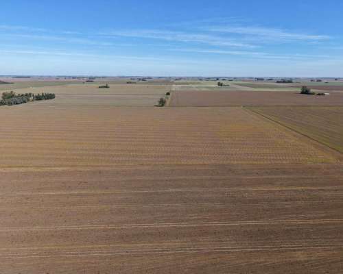 30 HA. Suelo Clase 1 - IP 90%. Departamento Constitucion.