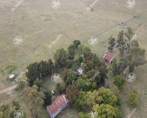 Campo en Venta de 227 Has en Ranchos. Mixto