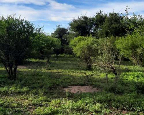 Vendo Campo en San Francisco del Monte de ORO