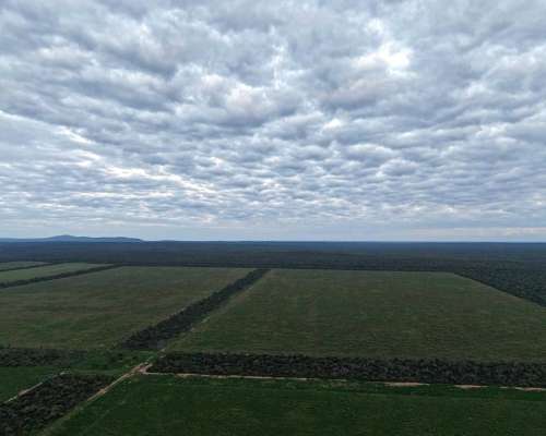 Pcia. de Salta - la Estrella 2125 Ha