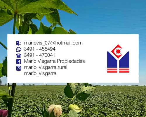 Campo Agrícola 160has el Nochero