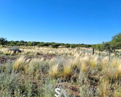 Vende: Campo Ganadero de 1.650 Hectáreas. Carro Quemado