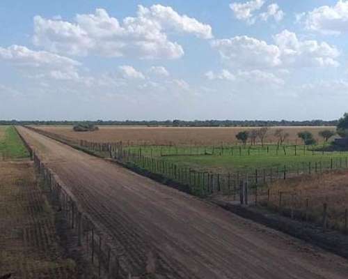 Campo Mixto 1500 Has. en Obispo Trejo, Cordoba