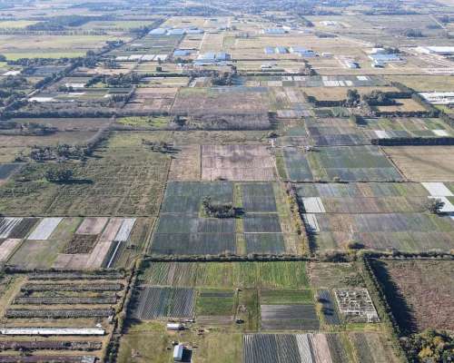 Campo en Excelente Ubicacion 100% Agricola, Cerca de Ruta 6