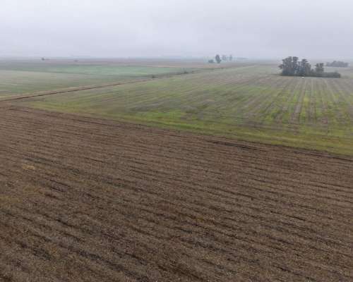 30 HA. Agrícola Suelo Clase 1. Muñoz (santa FE)