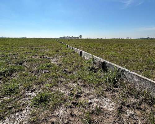 Importante Campo en Venta San Vicente