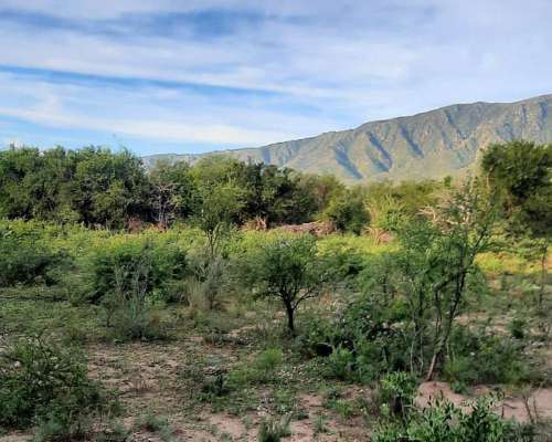 Vendo Campo en San Francisco del Monte de ORO