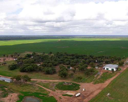 Pcia. de Salta - las Lajitas 8005 Has