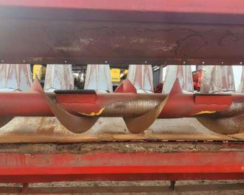 Maicero Maizco - año 2007