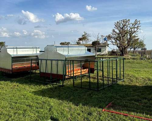 Comederos Creep Feeding con Rejas