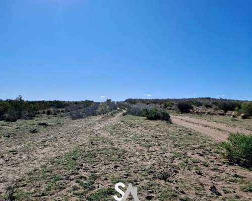 Vende: Campo Ganadero de 4.995 Hectáreas en Limay Mahuida, L