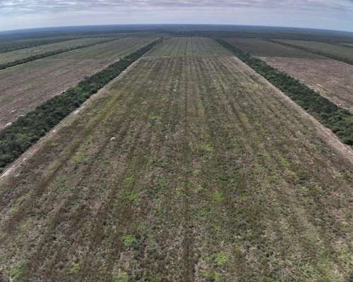 Vendo Campo Mixto en el Bobadal