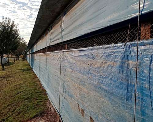 Granja Avícola. 92.000 Pollos Entre Rios