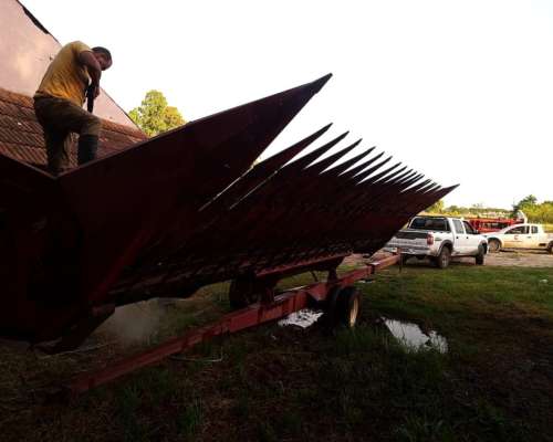 Cabezal Girasolero Mainero Mod 1035 de 12 a 70