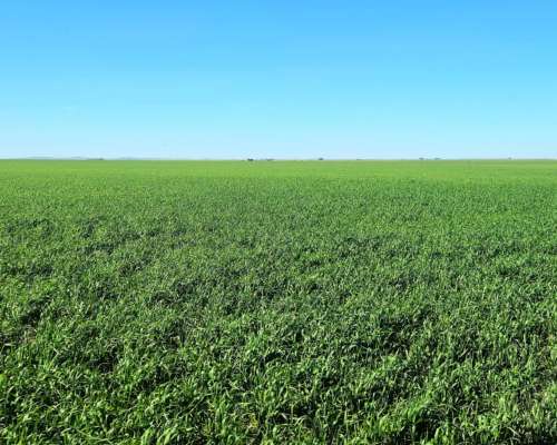 900 Ha Cabildo, Buenos Aires