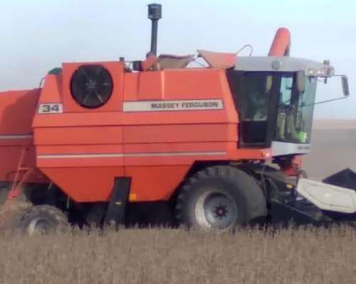 Massey Ferguson 34. Horas de Trilla 6000