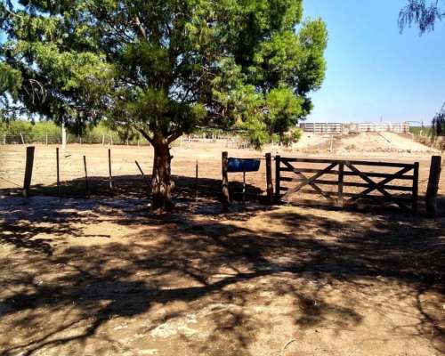 Campo Gandero 30.000 Hectareas,algarrobo del Aguila la Pampa