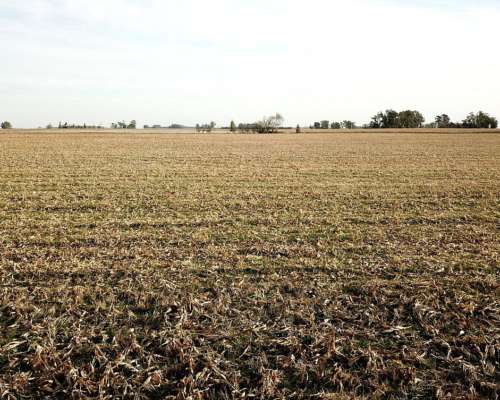 San Enrique 137 Ha 25 de Mayo BS. AS.