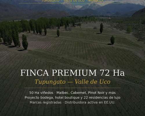 Finca Premium 72 Ha — Tupungato, Valle de UCO