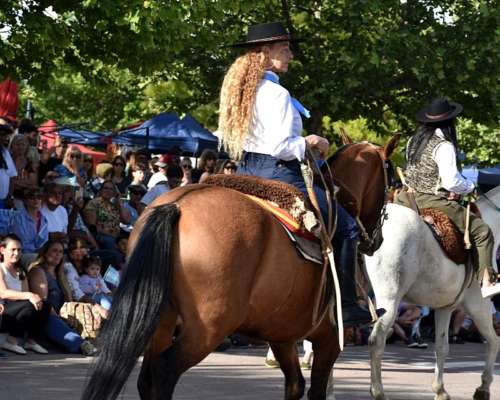 Yegua Criolla. Inscripta en Sociedad Rural Argentina