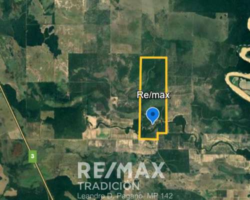 Venta - Campo Ganadero en Gral San Martin, Chaco