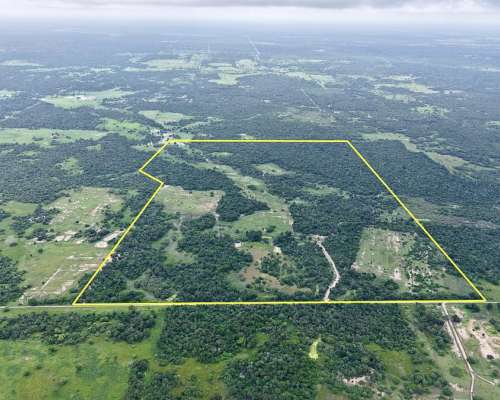 105 Has en Venta - Pcia del Chaco, Villa Berthet