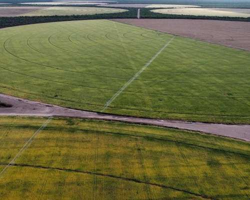 Los Cerrillos, Junín, San Luís - 1.870 Ha