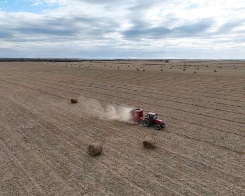 Pcia. de San Luis - las Barrancas 2170 Has