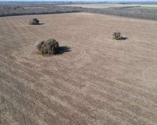 Campo Agrícola en Rocamora de 59 Hectáreas.
