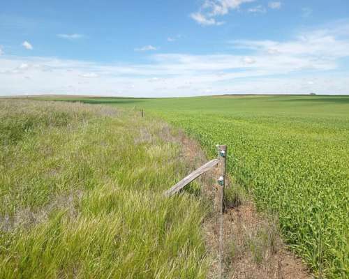 Azul Campo Agricola en Venta