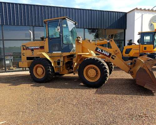 Tiangong ZL30 Motor Cummins