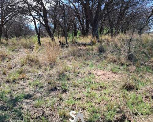 Vende: Hermoso Coto de Caza en la Pampa