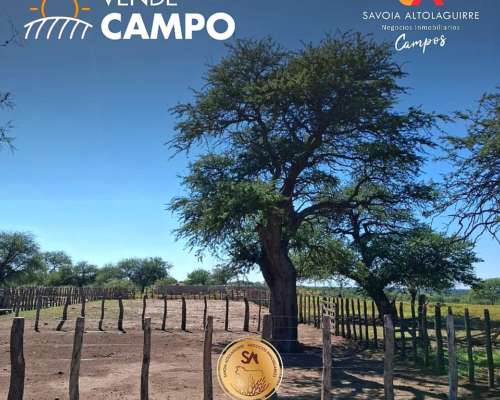 Se Vende Excelente Campo Ganadero en Victorica, la Pampa.