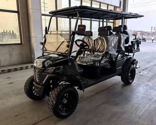 Golf Cart Electric Nexus 2/4/6 Asientos + Cajon