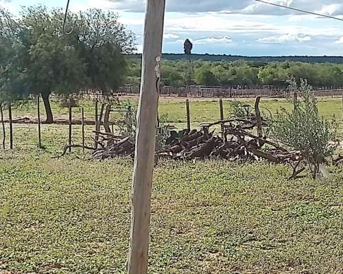 Chamical 8.500 Has Ganaderas