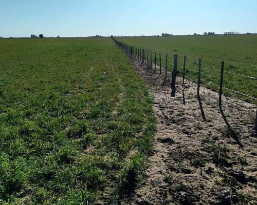 Campo Mixto Partido de Tres Lomas