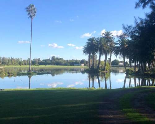 Campo en Venta – 50 Ha en Monasterio, Sobre Ruta 2. con Casc