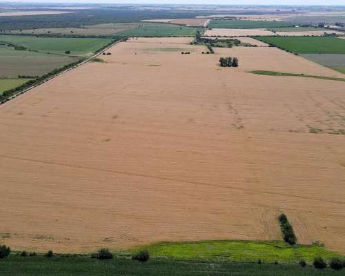 101 Hectáreas Agrícolas con Buen Acceso en Gualeguaychú.