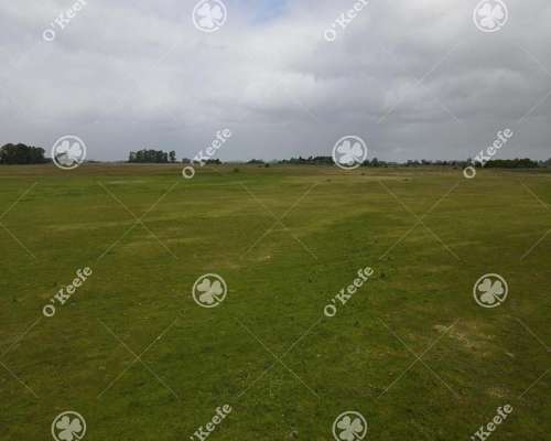 Campo en Venta de 450 Has en Magdalena. Mixto