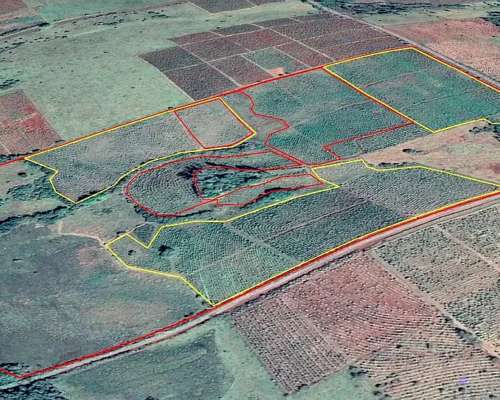 Se Vende Chacra de 48 Ha en Apostoles Misiones. 28 Ha con YE