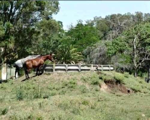 Campo en General Guido