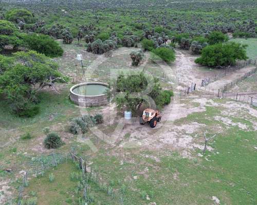 Campo Mixto en Venta- 3.068 Ha en San Pedro Norte, Córdoba
