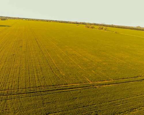 Campo en Venta Rafaela