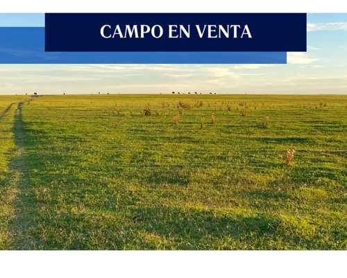 26 Has, Morse Buenos Aires